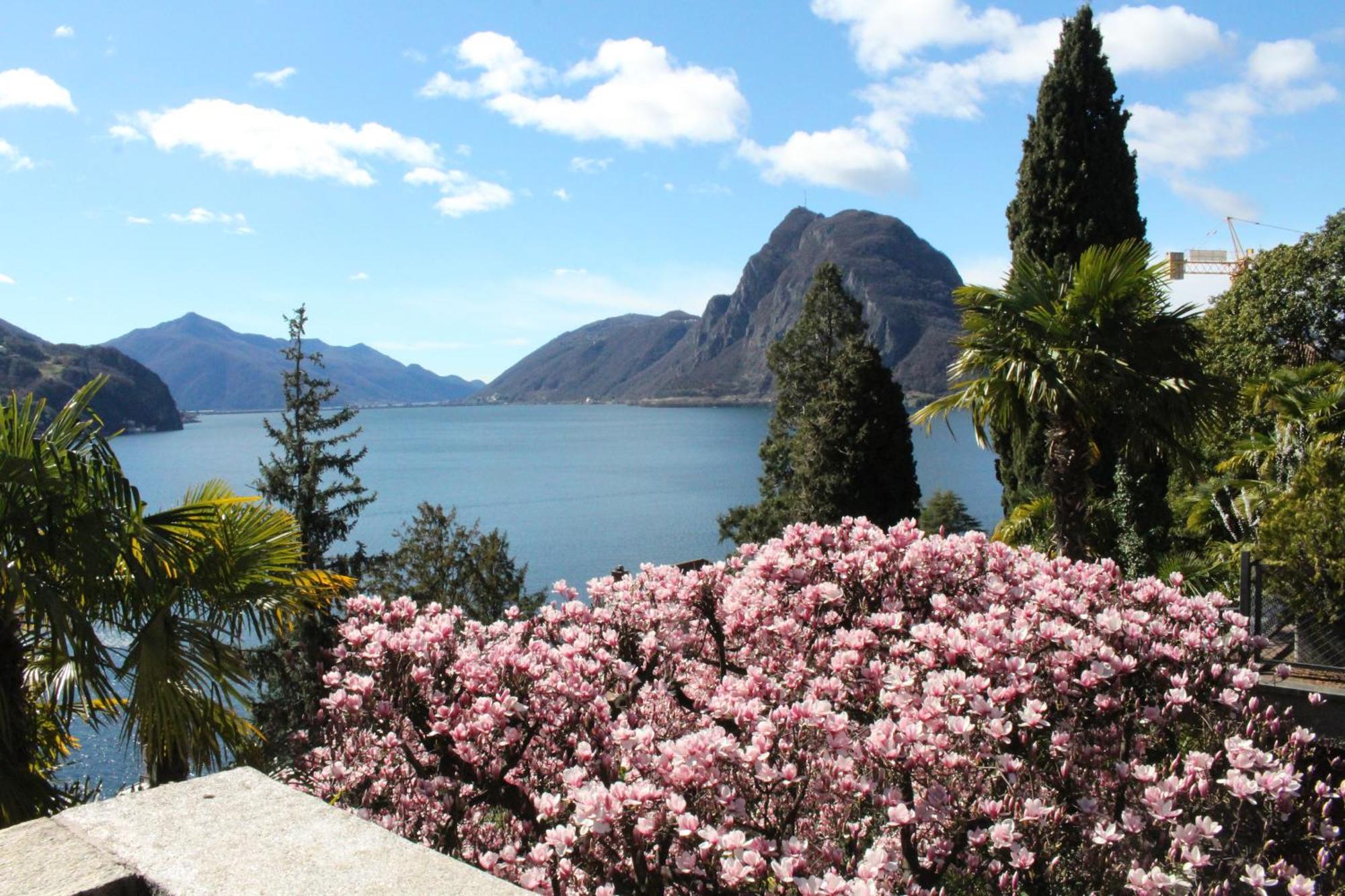 Barony Le Pergole Holiday Apartments Lugano Exterior foto