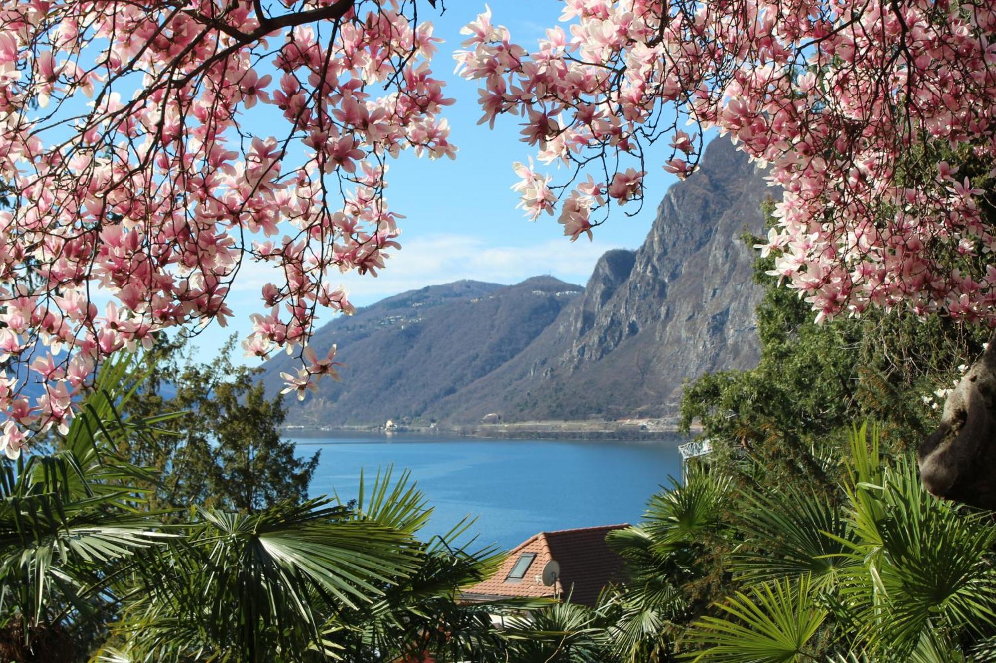 Barony Le Pergole Holiday Apartments Lugano Exterior foto
